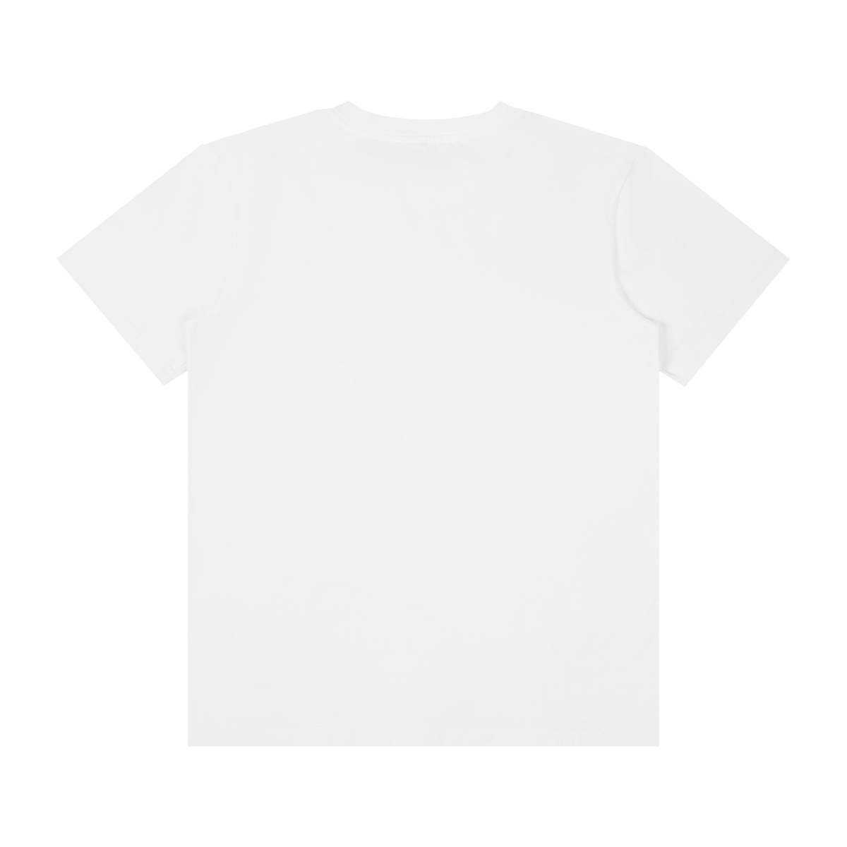 Evolution Of Man Tee